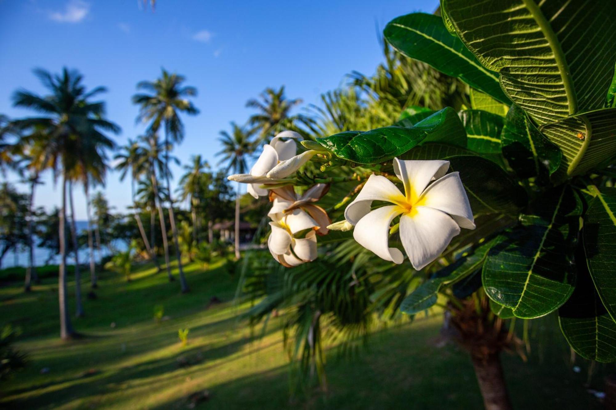 Ban Raya Resort And Spa Ko Racha Yai Zewnętrze zdjęcie