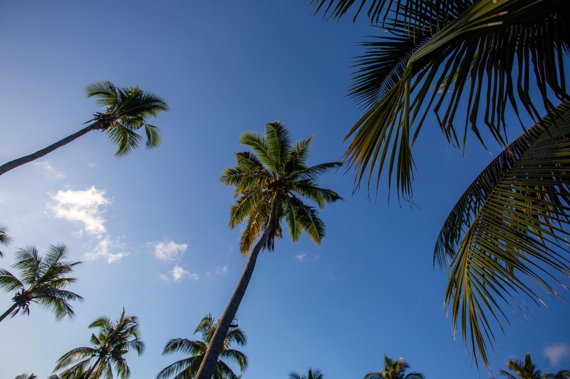 Ban Raya Resort And Spa Ko Racha Yai Zewnętrze zdjęcie