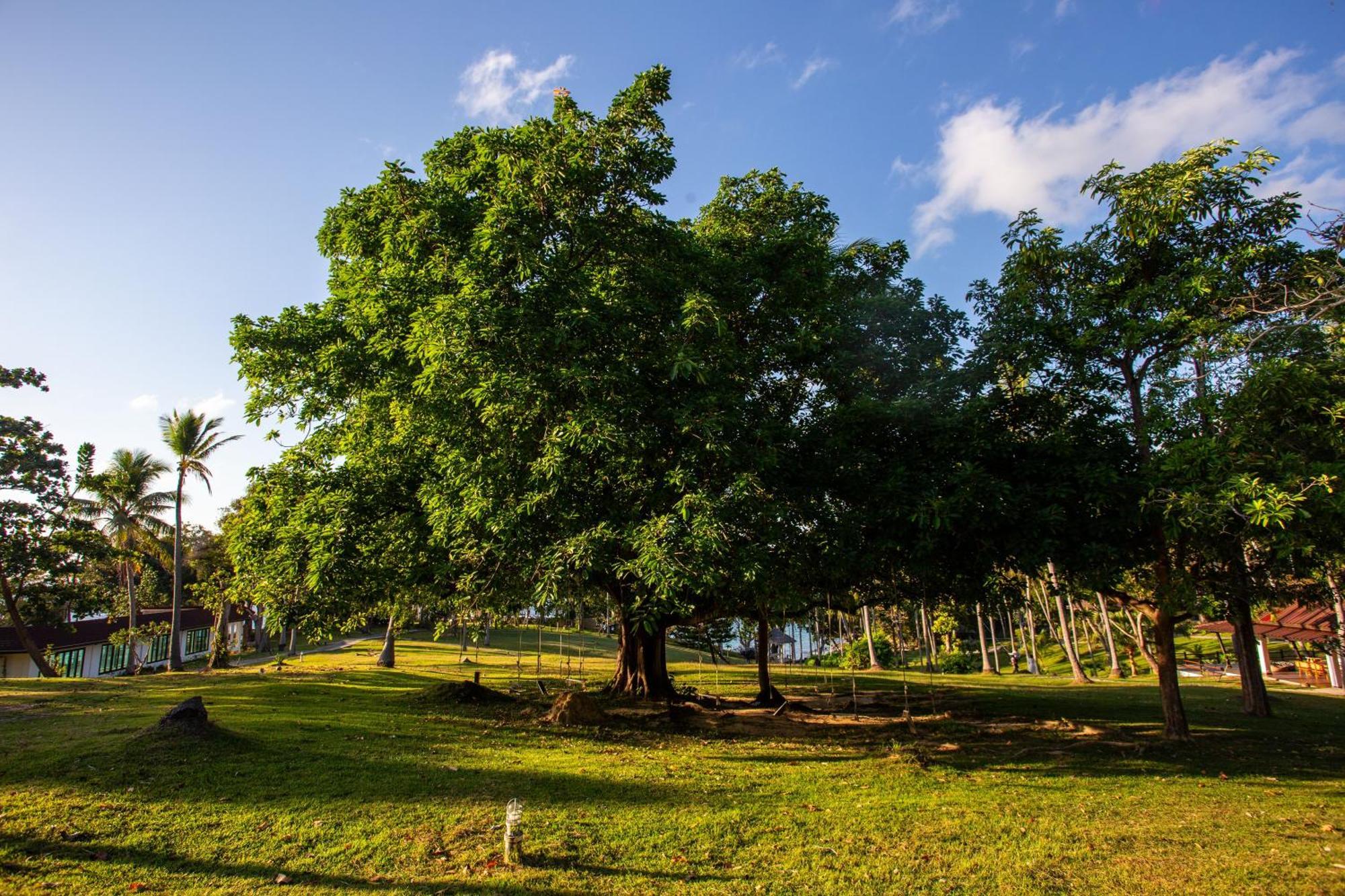 Ban Raya Resort And Spa Ko Racha Yai Zewnętrze zdjęcie