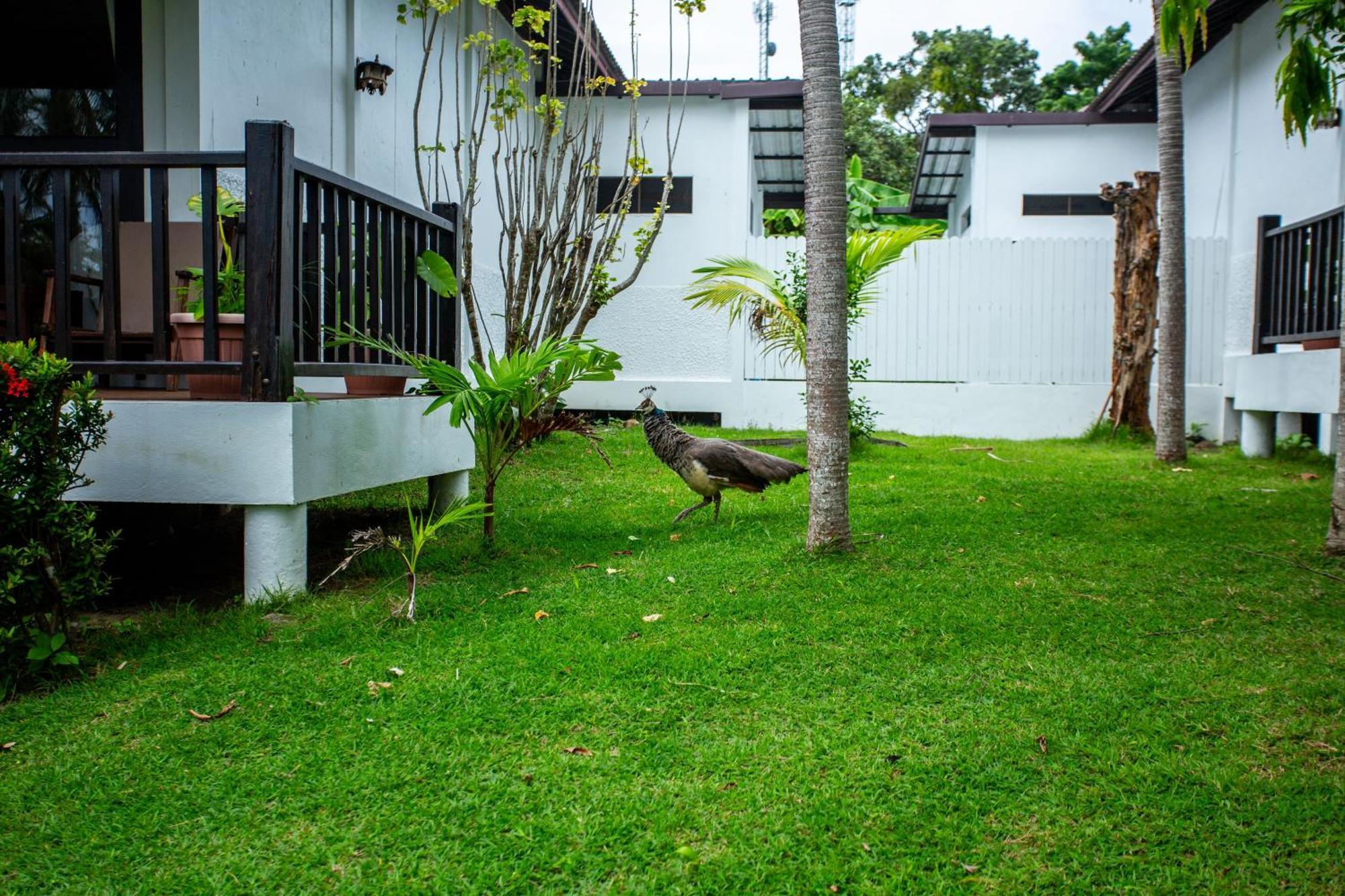 Ban Raya Resort And Spa Ko Racha Yai Zewnętrze zdjęcie