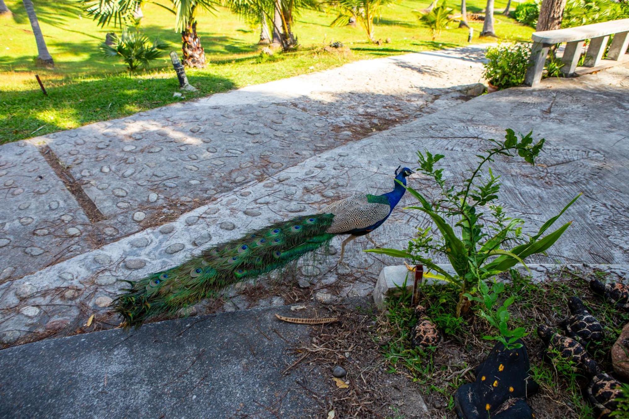 Ban Raya Resort And Spa Ko Racha Yai Zewnętrze zdjęcie